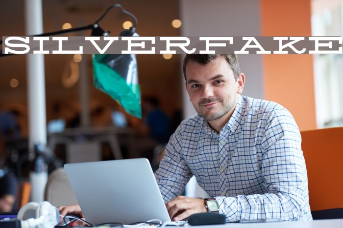 Silverfake Font examples
