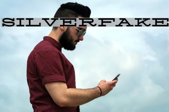 Silverfake Example 3