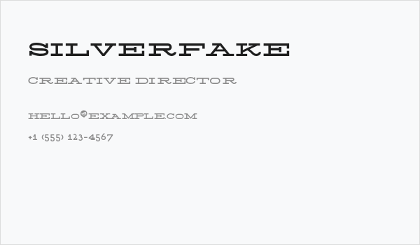 Silverfake Business Card