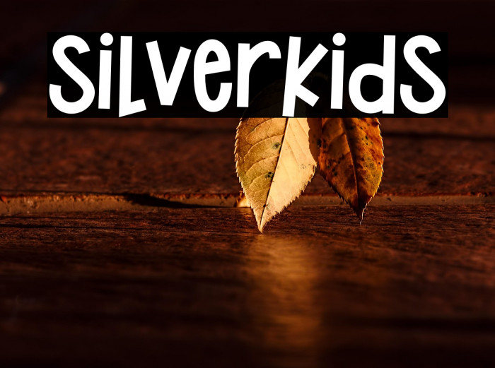 Silverkids Example 1