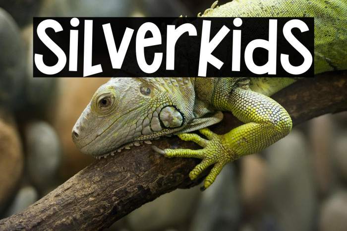 Silverkids Example 2