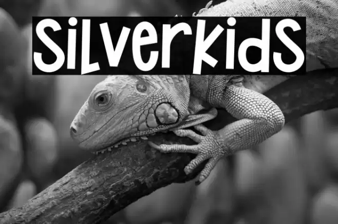 Silverkids Font examples