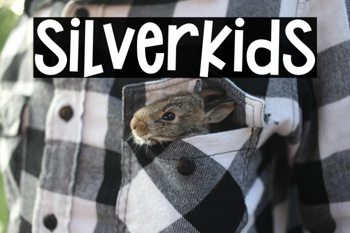 Silverkids Example 3