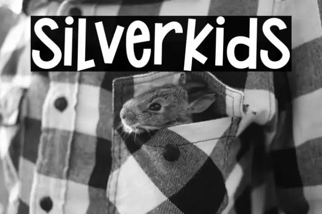 Silverkids Font examples