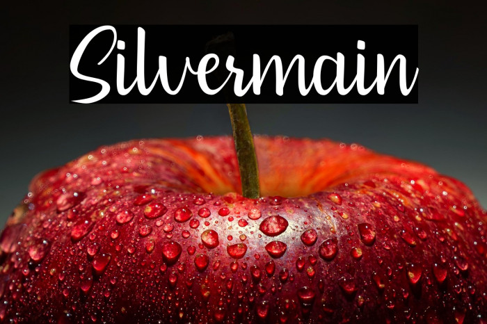 Silvermain Example 1