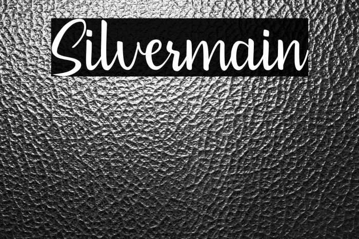 Silvermain Example 2