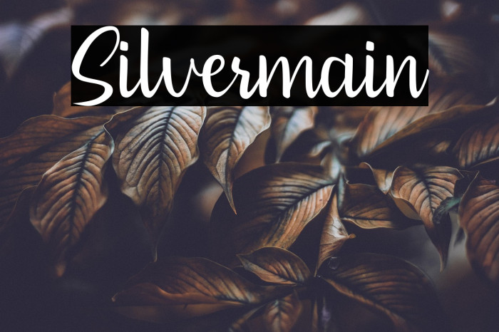 Silvermain Example 3