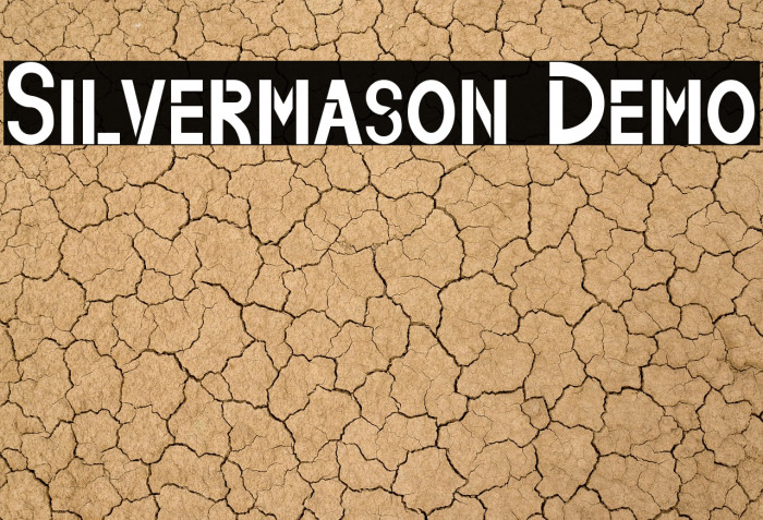 Silvermason Demo Example 1