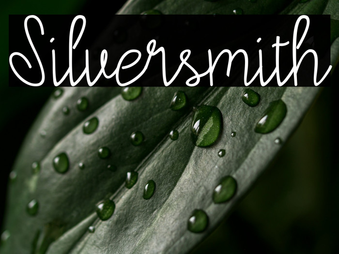 Silversmith Example 2