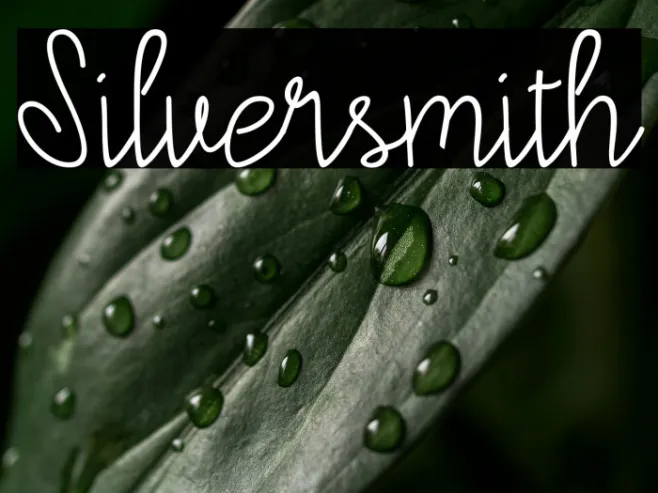 Silversmith Example 2