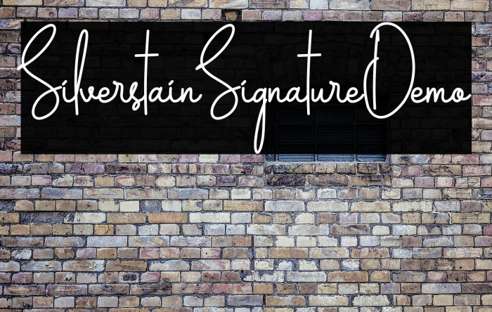 Silverstain_Signature_Demo Example 1