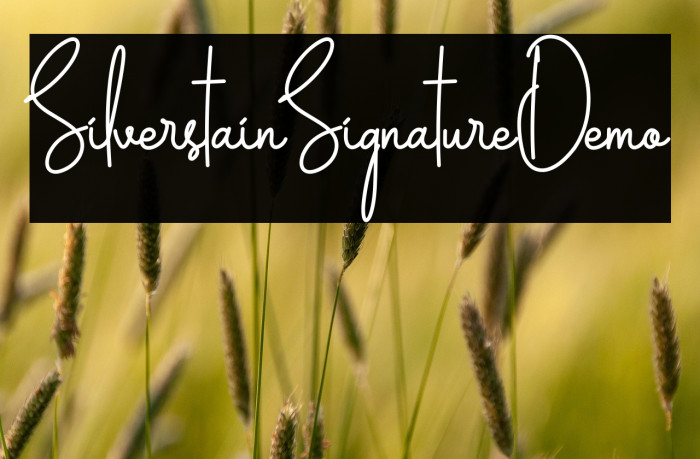 Silverstain_Signature_Demo Example 2