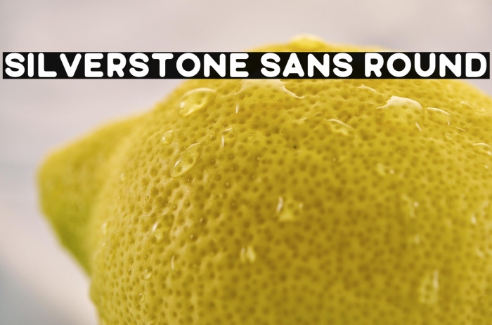 Silverstone Sans Round Example 1