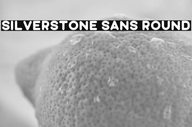 Silverstone Sans Round Font examples