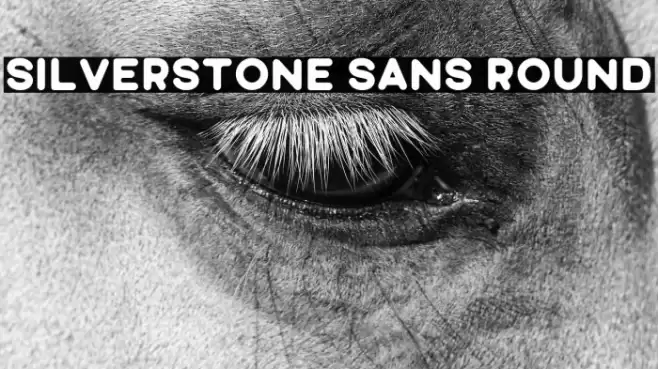 Silverstone Sans Round Font examples