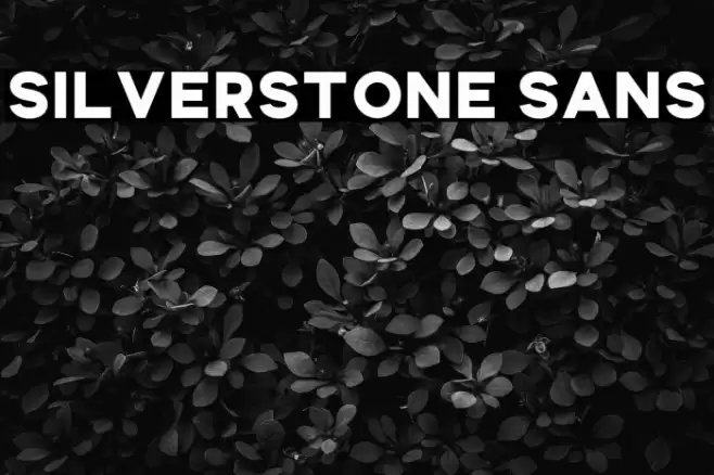 Silverstone Sans Font examples