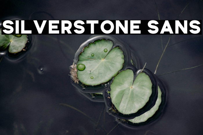 Silverstone Sans Example 2