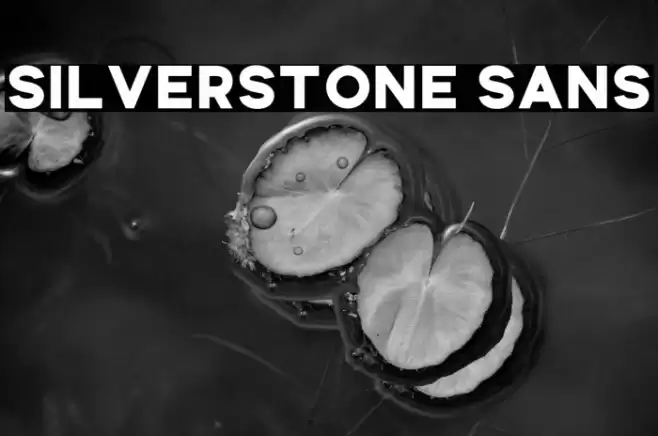 Silverstone Sans Font examples