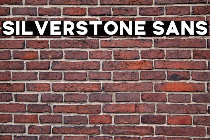 Silverstone Sans Example 3