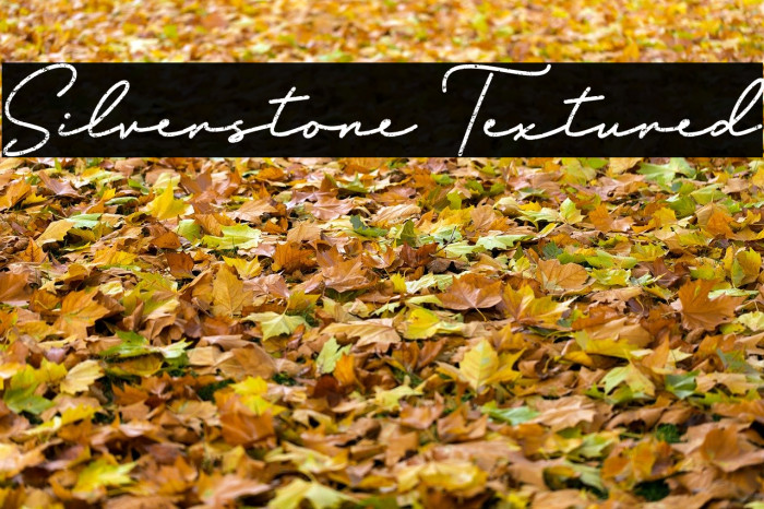 Silverstone Textured Font examples