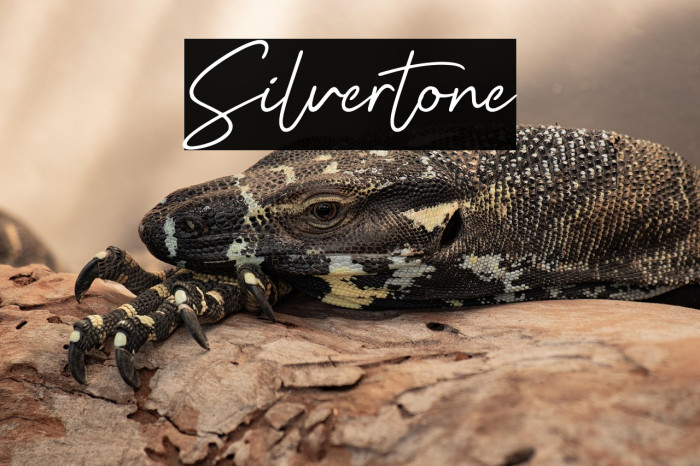 Silvertone Example 1