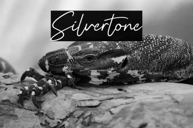 Silvertone Font examples