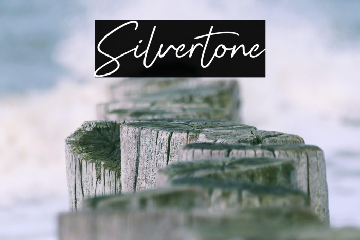 Silvertone Example 3