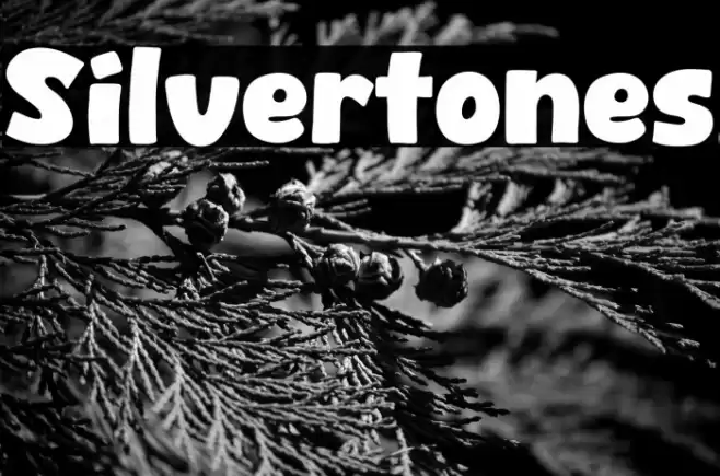 Silvertones Font examples