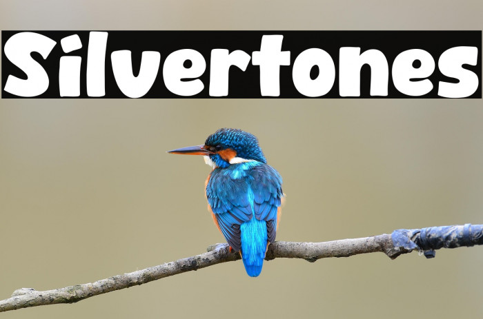 Silvertones Example 3