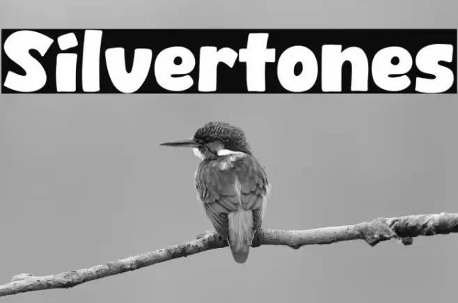 Silvertones Font examples