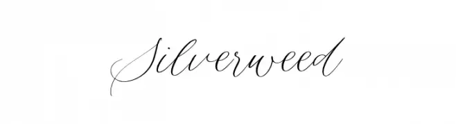 Silverweed  Descarca Fonturi Gratis