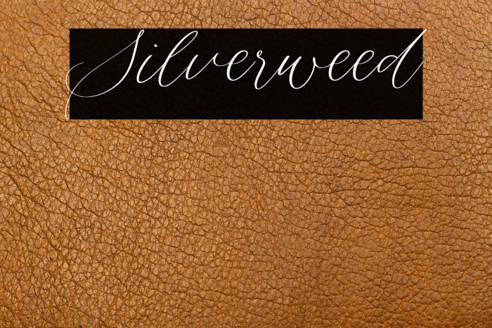 Silverweed Example 1