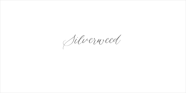 Silverweed Logo