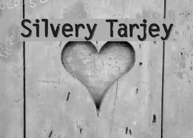 Silvery Tarjey Font examples