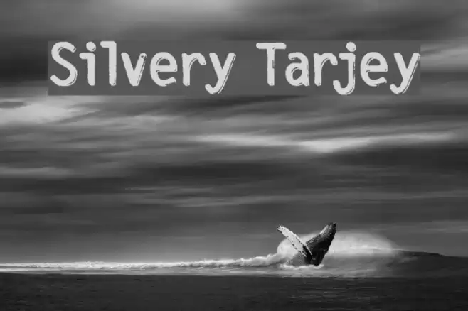 Silvery Tarjey Font examples