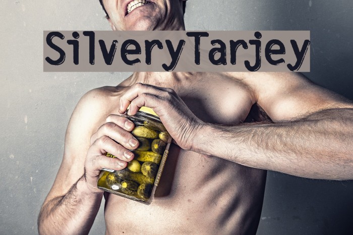 SilveryTarjey फ़ॉन्ट examples