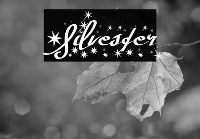 Silvester Font examples