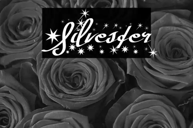 Silvester Font examples