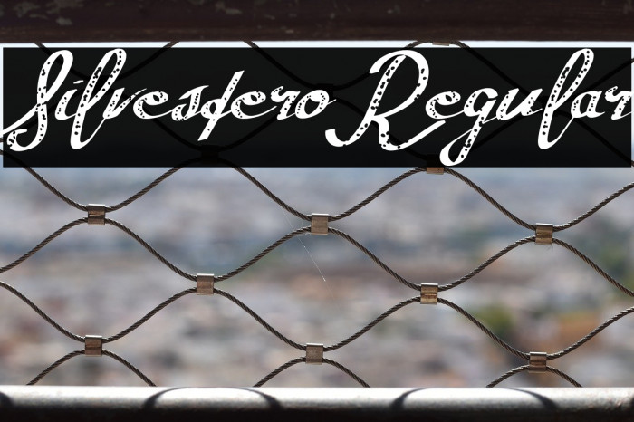 SilvesteroRegular Example 1