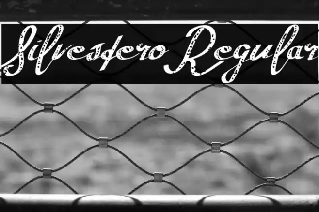 SilvesteroRegular Font examples