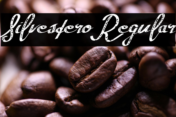 SilvesteroRegular Example 2