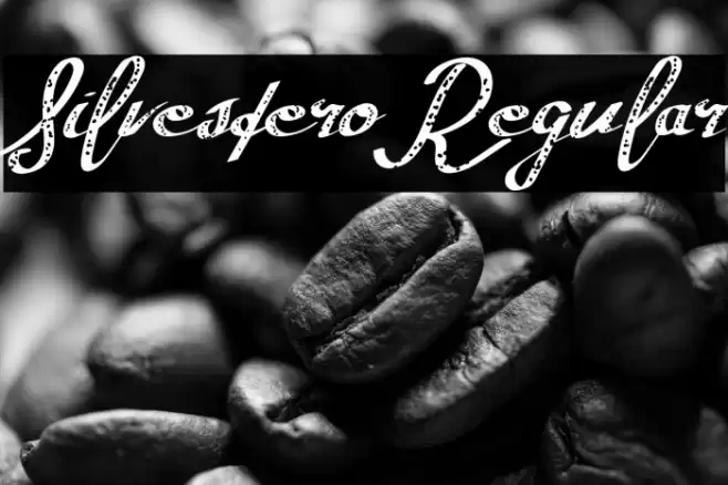 SilvesteroRegular Font examples