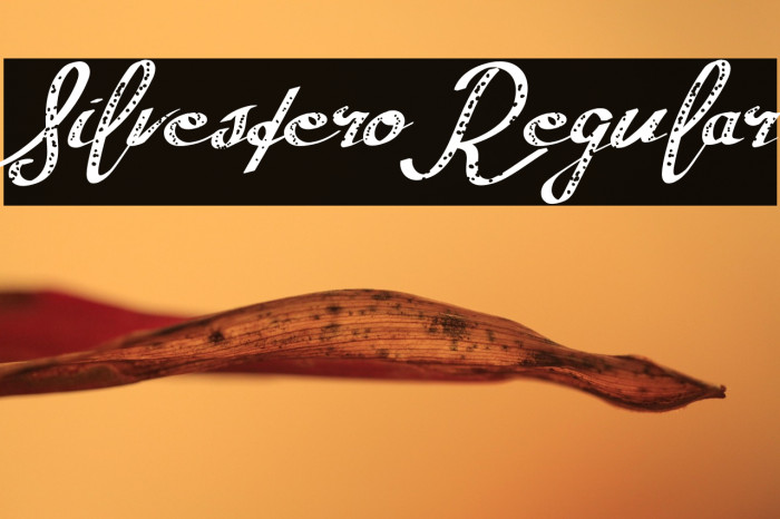 SilvesteroRegular Example 3