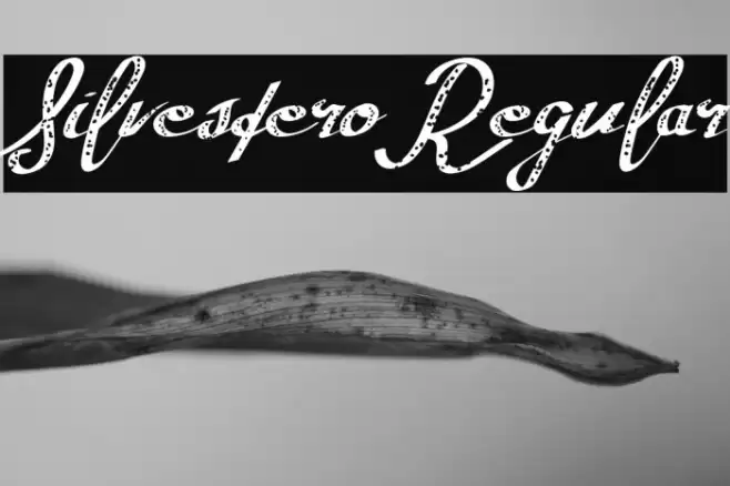 SilvesteroRegular Font examples