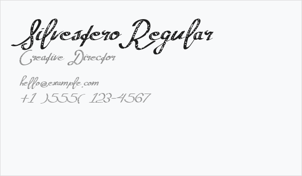 SilvesteroRegular Business Card