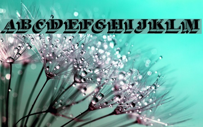 Silvestre Relief Font examples
