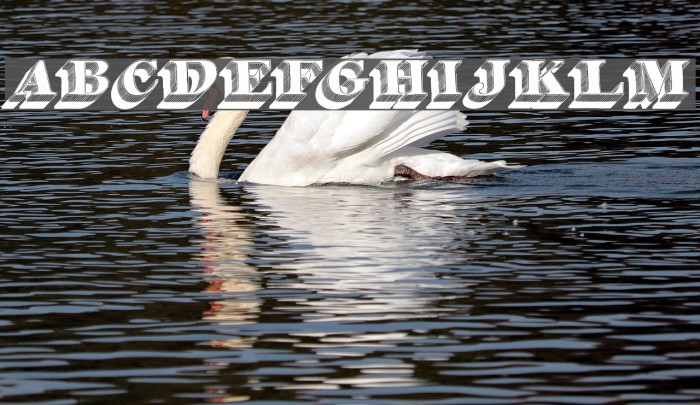 Silvestre Relief Font examples
