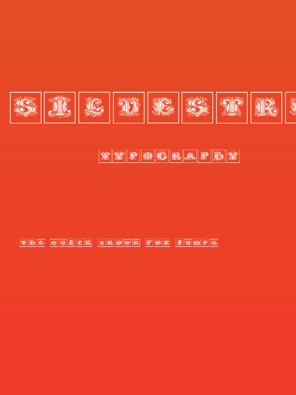 SilvestreInitialsSquares Poster