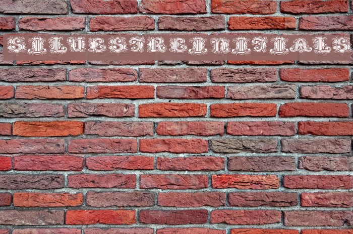 SilvestreInitials Font examples