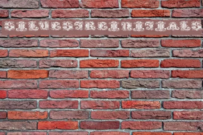 SilvestreInitials Example 2
